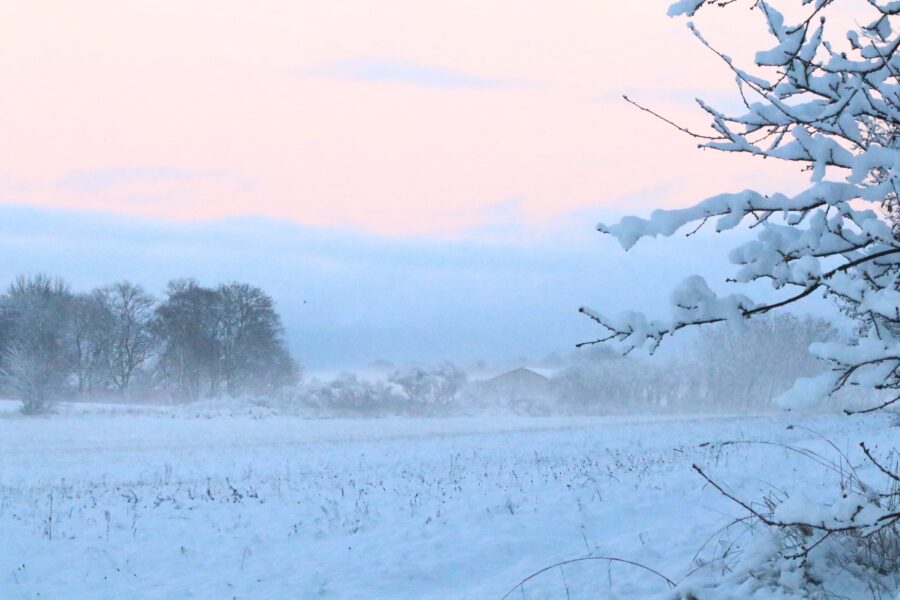Magnarp vinter snö dimma solnedgång (15) – Utflyktstips i Skåne