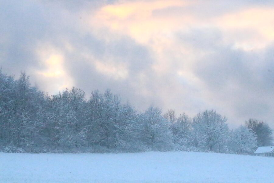 Magnarp vinter snö dimma solnedgång (6) – Utflyktstips i Skåne